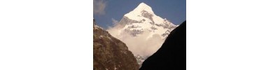 271. திருஇந்திரநீலப்பருப்பதம்